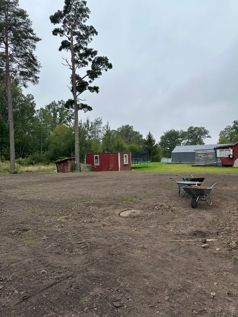 Rural farmyard with red cottage, wheelbarrow, and outbuildings surrounded by trees and grass fields